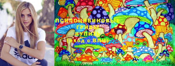 PSILOCYBIN Аркадак